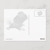 Bald Eagle Eyes seinen Preis Postkarte (Rückseite)