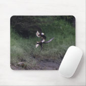 Bald Eagle Fight Mouse Pad Mousepad (Mit Mouse)
