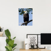 Bald Eagle Fine Art Prints Poster (Heimbüro)