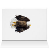 Bald Eagle Flash (Innenansicht Horizontal (Oben))