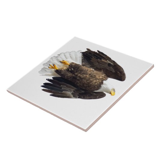 Bald Eagle Flash mit weißem Hintergrund Fliese (Seite)
