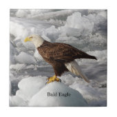 Bald Eagle Fliese (Vorderseite)