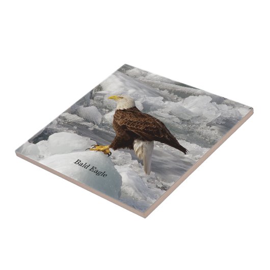 Bald Eagle Fliese (Seite)