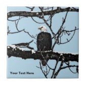 Bald Eagle Fliese (Vorderseite)
