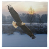 BALD EAGLE FLIESE (Vorderseite)