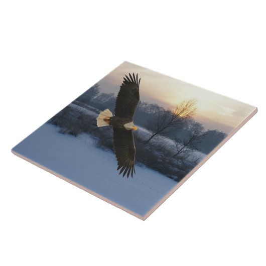 BALD EAGLE FLIESE (Seite)