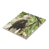 Bald Eagle Fliese (Seite)