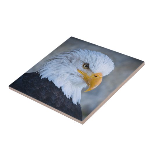 BALD EAGLE FLIESE (Seite)