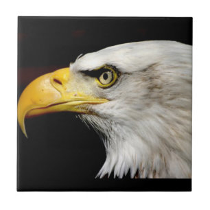 Bald Eagle Fliese