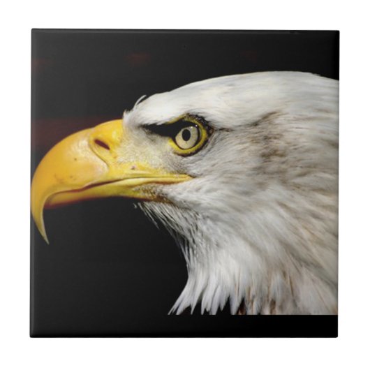 Bald Eagle Fliese (Vorderseite)