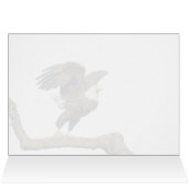 Bald Eagle Flight (Innenansicht Horizontal (Oben))