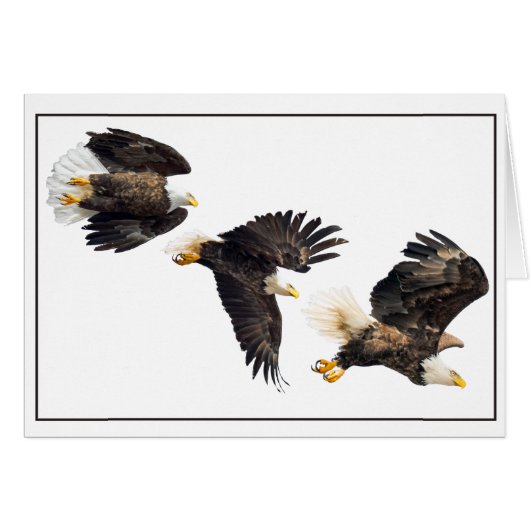Bald Eagle Flight (Vorderseite (Horizontal))