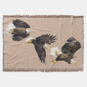Bald Eagle Flight Decke