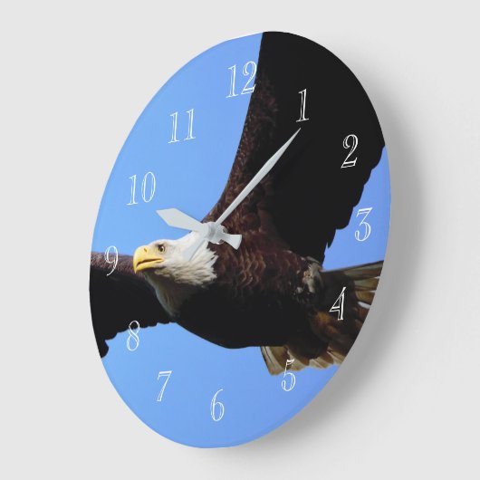 Bald Eagle Flight Große Wanduhr (Winkel)