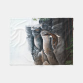 Bald Eagle Flight Rocks Fleecedecke (Vorderseite (Horizontal))