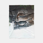 Bald Eagle Flight Rocks Fleecedecke (Vorderseite)