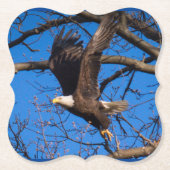 Bald Eagle Flight Untersetzer (Vorderseite)