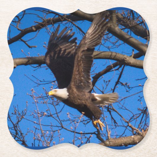 Bald Eagle Flight Untersetzer (Vorderseite)