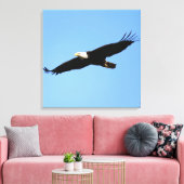 Bald Eagle Flyby Leinwanddruck (Insitu (Wohnzimmer))