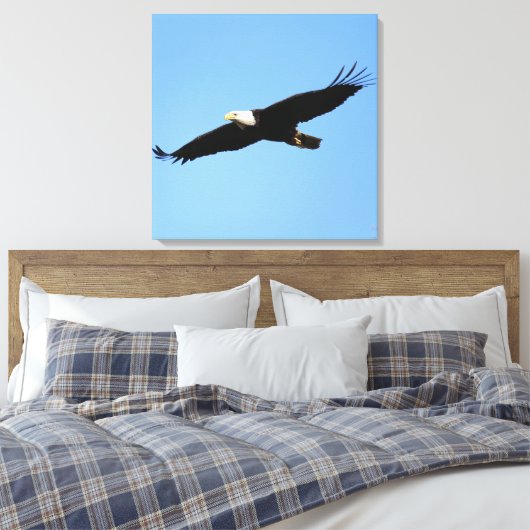 Bald Eagle Flyby Leinwanddruck (Insitu (Schlafzimmer))