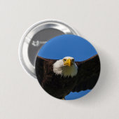 Bald Eagle Flyby Up Close Button (Vorne & Hinten)