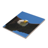 Bald Eagle Flyby Up Close Fliese (Seite)