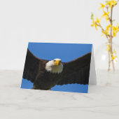 Bald Eagle Flyby Up Close Karte (Gelbe Blume)