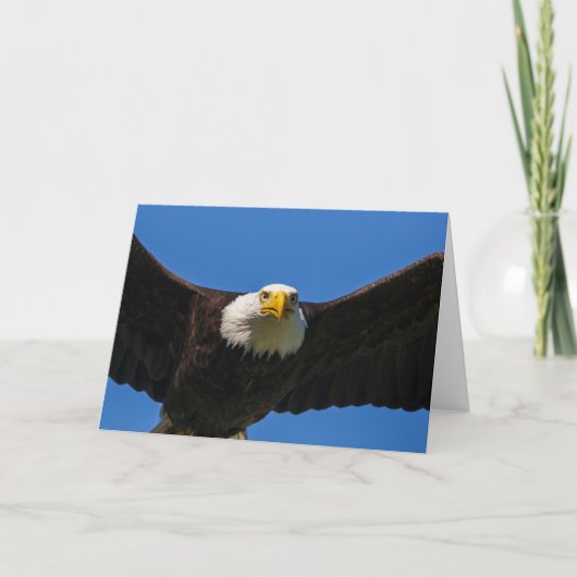 Bald Eagle Flyby Up Close Karte (Vorderseite)