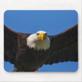 Bald Eagle Flyby Up Close Mousepad (Vorne)