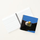 Bald Eagle Flyby Up Close Notizblock (Innenseite)