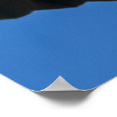 Bald Eagle Flyby Up Close Poster (Ecke)