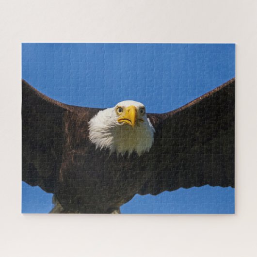 Bald Eagle Flyby Up Close Puzzle (Horizontal)