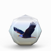 Bald Eagle Flying Fotoblock (Vorderseite)
