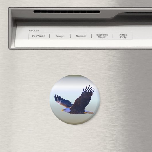 Bald Eagle Flying Magnet (In Situ (Geschirrspüler))