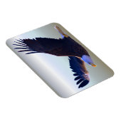 Bald Eagle Flying Magnet (Rechte Seite)