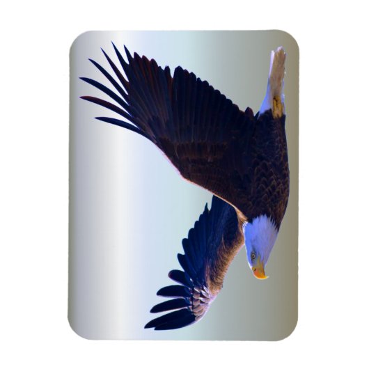 Bald Eagle Flying Magnet (Vertikal)