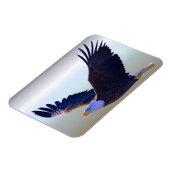 Bald Eagle Flying Magnet (Linke Seite)