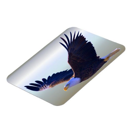Bald Eagle Flying Magnet (Linke Seite)