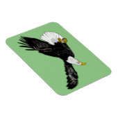 Bald Eagle Flying Magnet Ihre Farben (Rechte Seite)