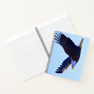 Bald Eagle Flying Notizblock