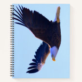 Bald Eagle Flying Notizblock (Vorderseite)