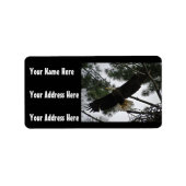 Bald Eagle Foto Adressaufkleber (Vorne)