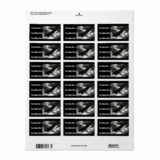 Bald Eagle Foto Adressaufkleber (Vorne)