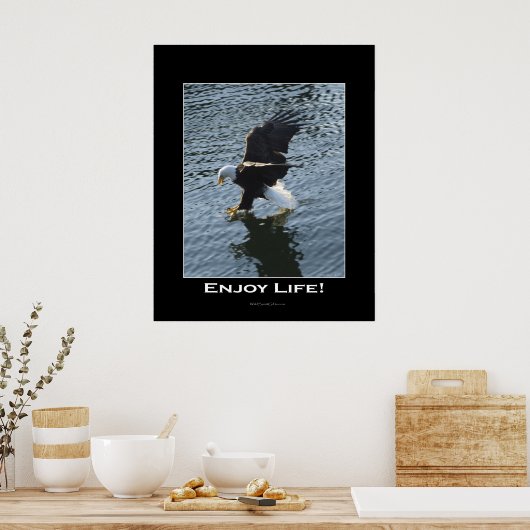 Bald Eagle Foto Poster (Küche)