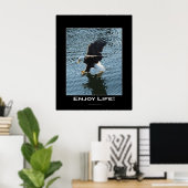Bald Eagle Foto Poster (Heimbüro)