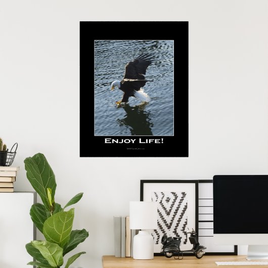 Bald Eagle Foto Poster (Heimbüro)