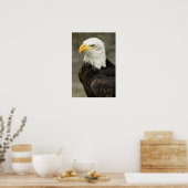 Bald Eagle Foto Poster (Küche)