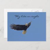 Bald Eagle Foto Postkarte (Vorne/Hinten)