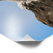 Bald Eagle Fotodruck (Ecke)