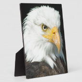 Bald Eagle Fotoplatte (Seite)